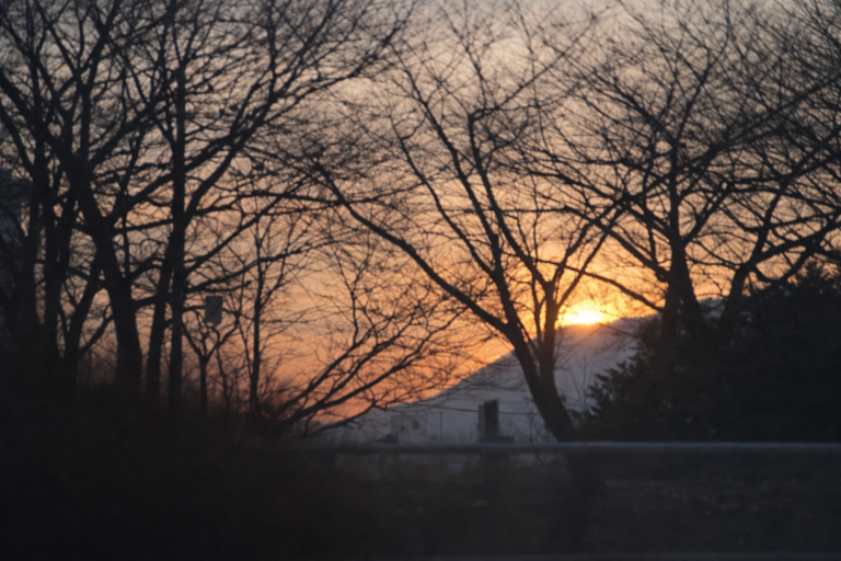 Looking Back on 2025 | Delivering Words